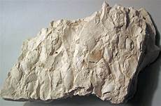 Diatomaceous Earth Silica