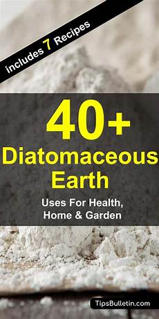 Diatomaceous Earth Silica
