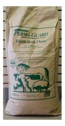 Diatomaceous Earth Silica